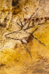 Lascaux grotschildering, Bordeaux, Frankrijk